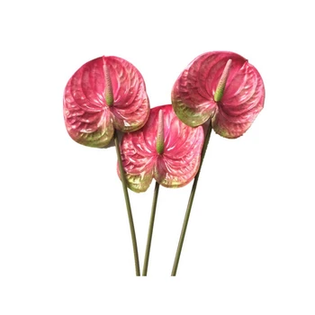 3 Kos 27 palca Umetno Anthurium Šopek Cvetja In Zelenih Listov Poročno Dekoracijo (Roza)