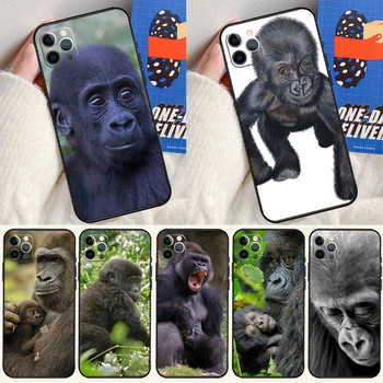 Opica Gorilla Ape Baby Cover Primeru Za iPhone 15 14 13 12 11 Max Pro XS XR X 12 13 Mini 7 8 15 Plus SE 2022 Fundas