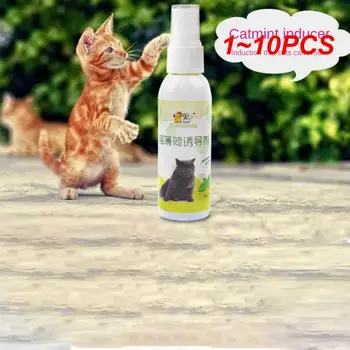 1~10PCS Naravno Zdravje In Varnost Mačka Mint Inducer Čiste Zobe Mint Mačka Pet Usposabljanje Igrače za Hišne živali Dihanje Svežega Spray Inducer